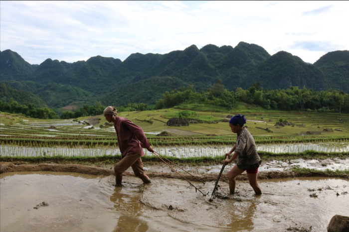 Sapa 2 Days By Bus - Fansipan Trekking Tour - Main Image