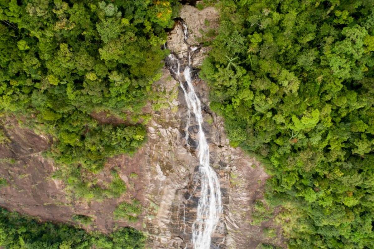 Bach Ma National Park Discovery Group Tour - Main Image
