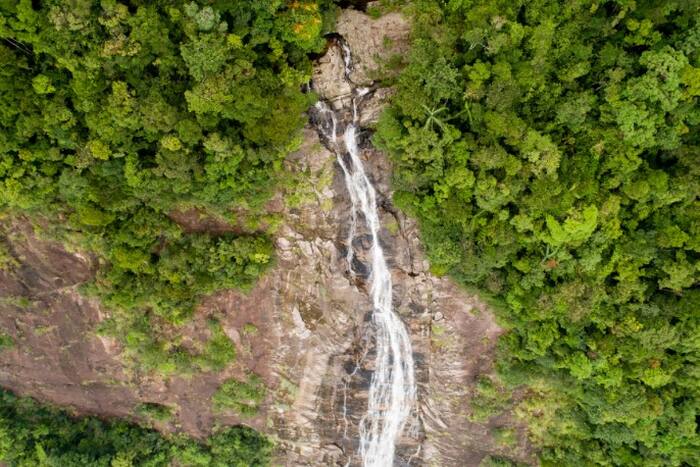 Bach Ma National Park Discovery Group Tour - Main Image
