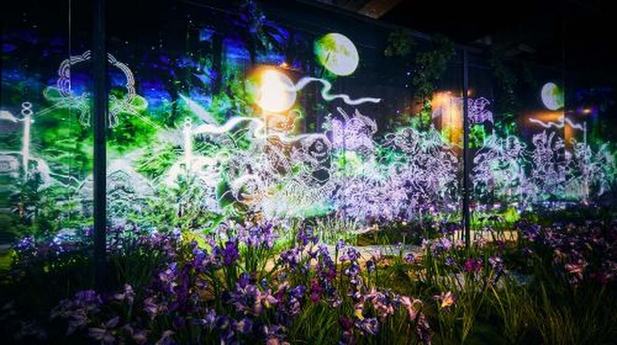 YOKAI Immersive Experience Exhibition NAGOYA 〜Imagination of Japan〜 - Main Image