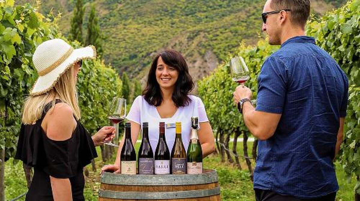Queenstown Classic Wine Tour: 3 Winery Visits, Cave Tour & Cheese - Main Image