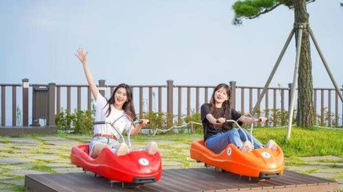 Incheon Day Tour from Seoul: Ganghwa Luge & Korean Meal Day Tours - Main Image