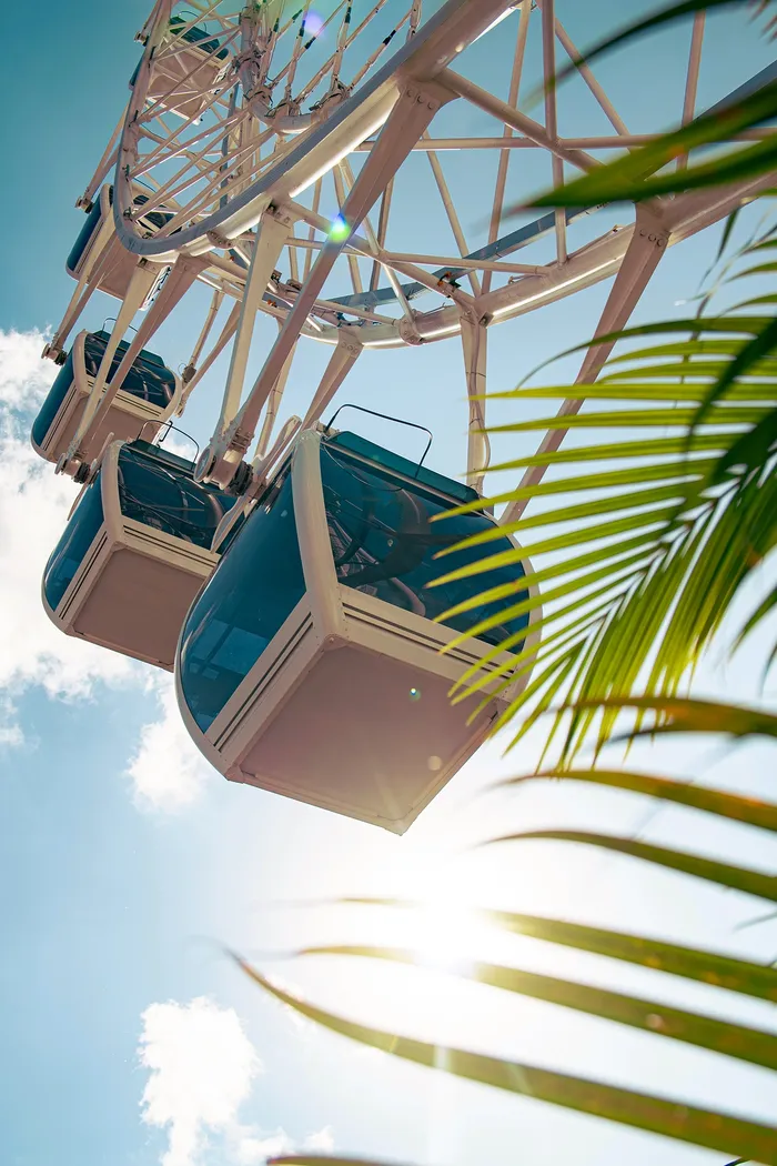 f713095e-0387-4682-be77-4c2751a97fee_alt