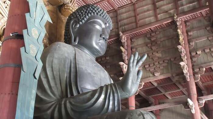 KYOTO-NARA: Giant Buddha Deer Pagoda "Geisya" (Italian, full day) - Main Image