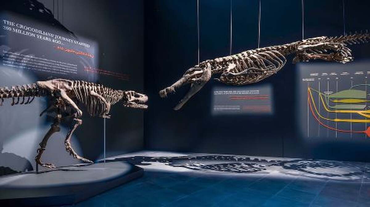 Dubai Crocodile Park & Burj Khalifa 124/125th floor-Non Prime Tour with Transfers Day Tours - Main Image