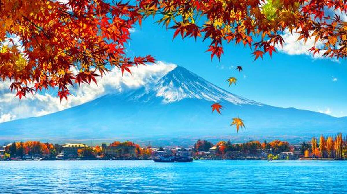 One-day tour of Mount Fuji's popular Instagram attractions, including Tianti Town, Kawaguchiko, Oshino Hakkai, and Lawson - Main Image