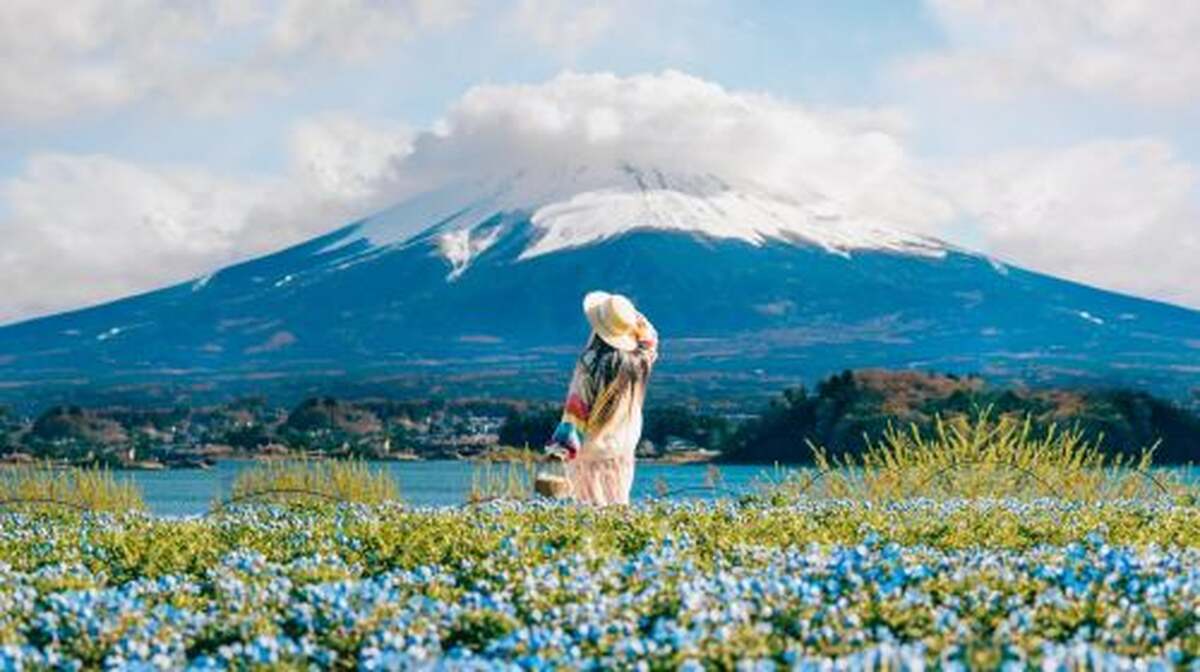 1-day Fuji Five Lakes Fall Foliage Tour: Lake Kawaguchi, Lake Yamanaka, Lawson, Hikawa Clock Shop - Main Image