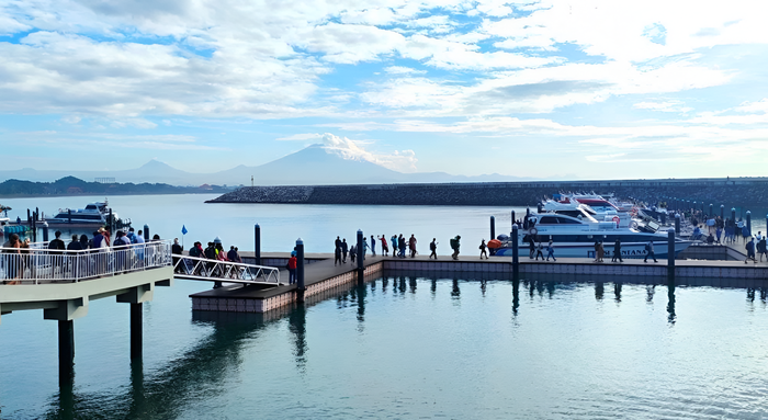 a54bc249-65e6-49d4-adeb-a7c3755c5407_alt