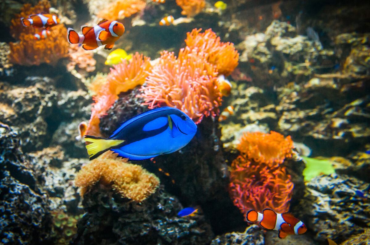 Sea Life Munich - Main Image