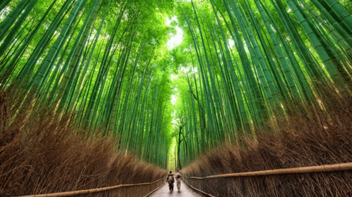 Kyoto: UNESCO World Heritage Arashiyama Walking Tour Day Tours - Main Image
