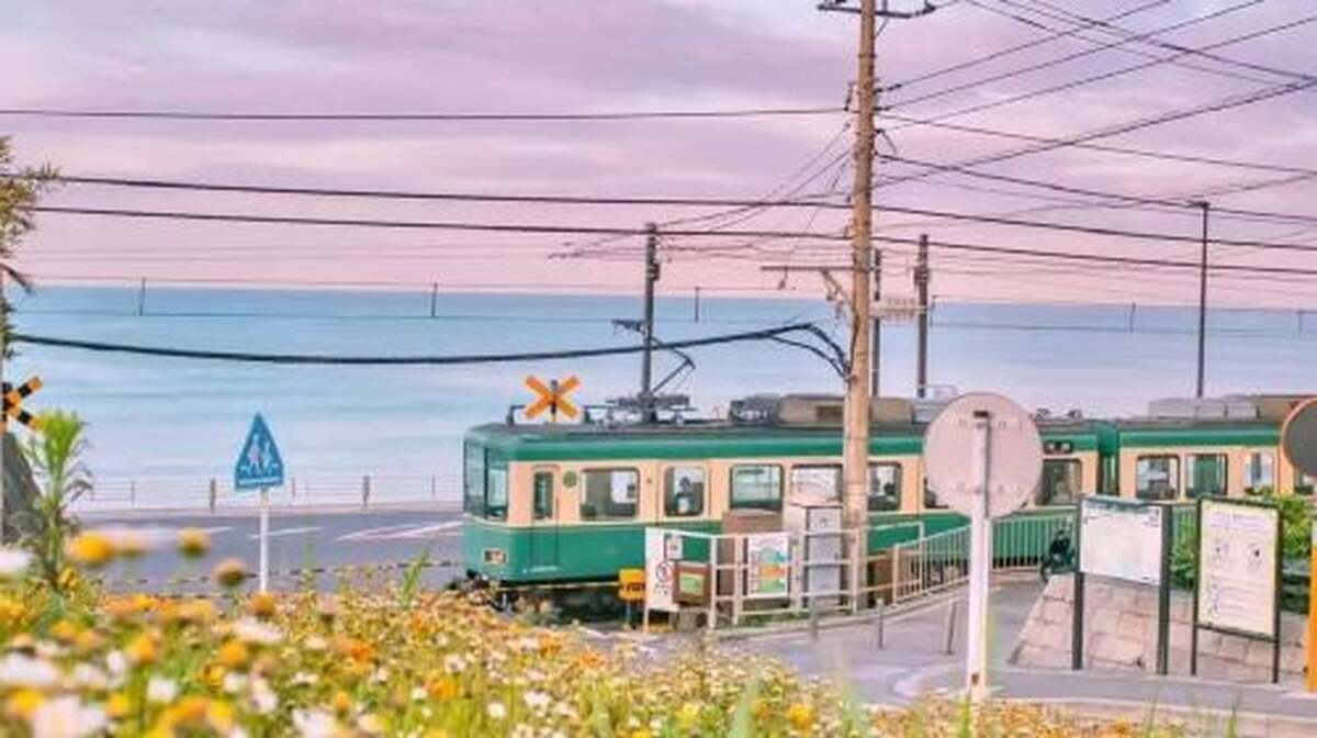 Kotoku-in + Komachi Street + Enoshima + Tsurugaoka Hachimangu one-day tour with free Enoden train experience - Main Image