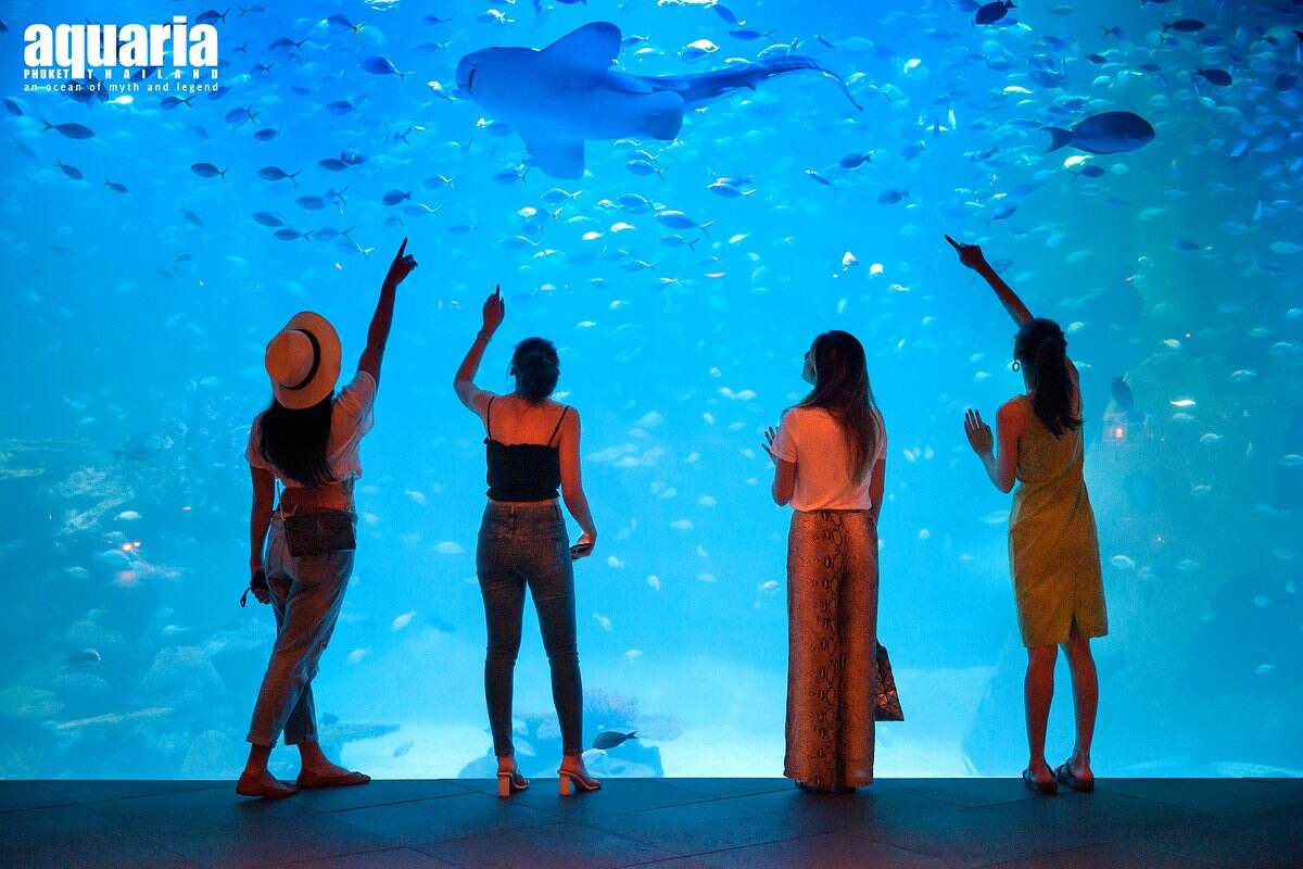 Aquaria Phuket - Non Thai Resident - Main Image