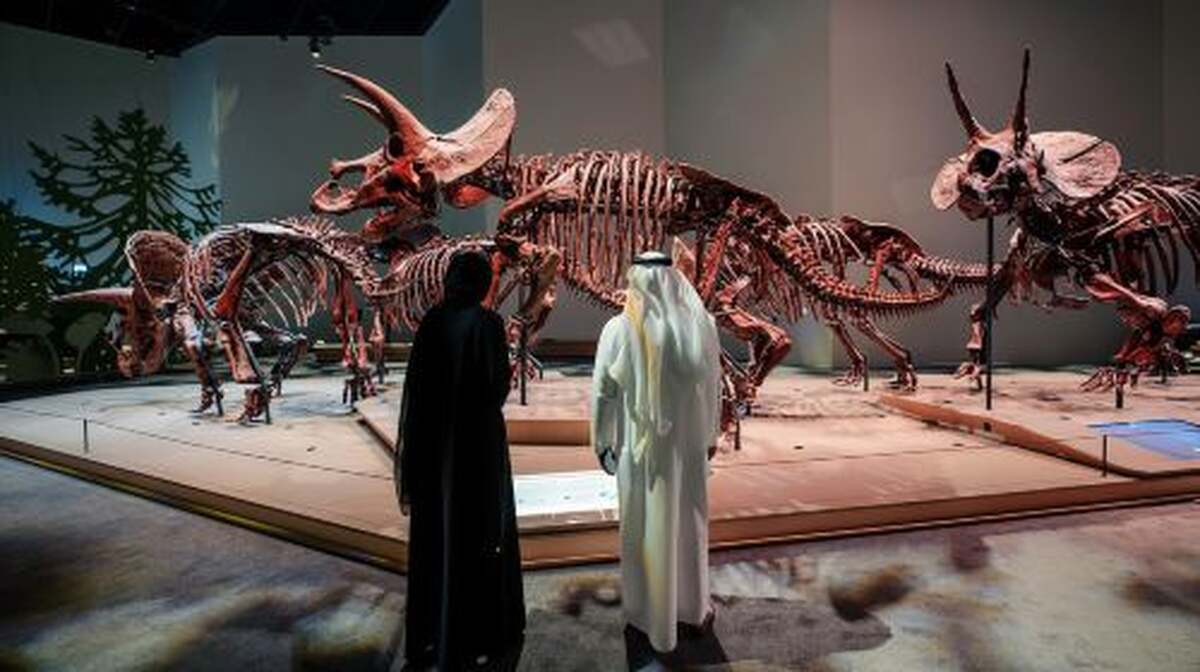 Natural History Museum Abu Dhabi - Main Image