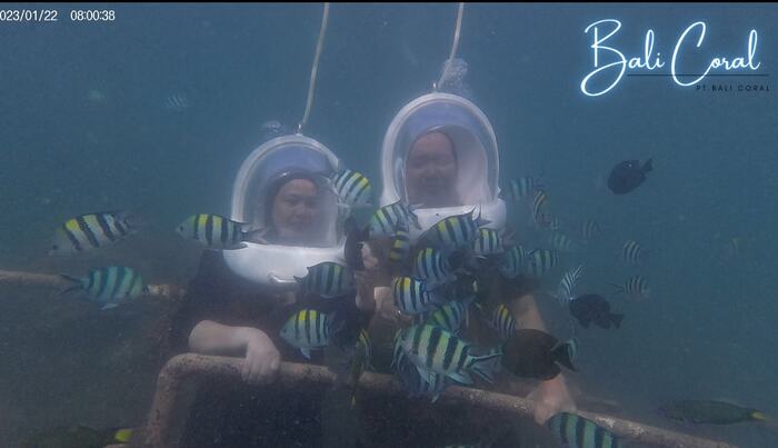 Diving in Tanjung Benoa Non-Indonesian ID Holder by Bali Coral Dive & Water Sport - Main Image