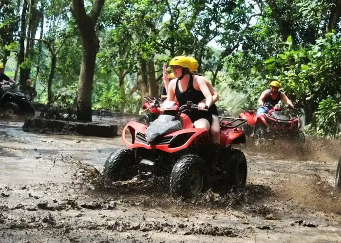 f0b6e8d9-cf59-4684-863b-5ade8553c4f2_alt