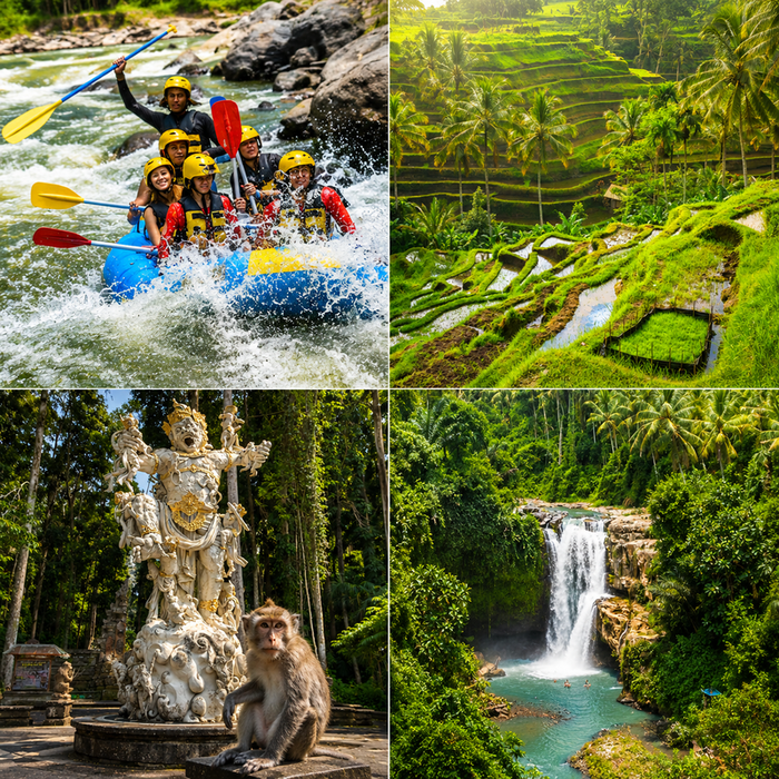 Ubud Highlight and Rafting Adventure Package - Main Image