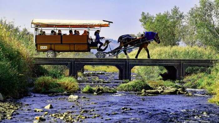 Japan Arashiyama Kyoto Horse Carriage Experience + Sagano Train + Hozugawa Rafting Tickets Included one-day tour Day Tours - Main Image
