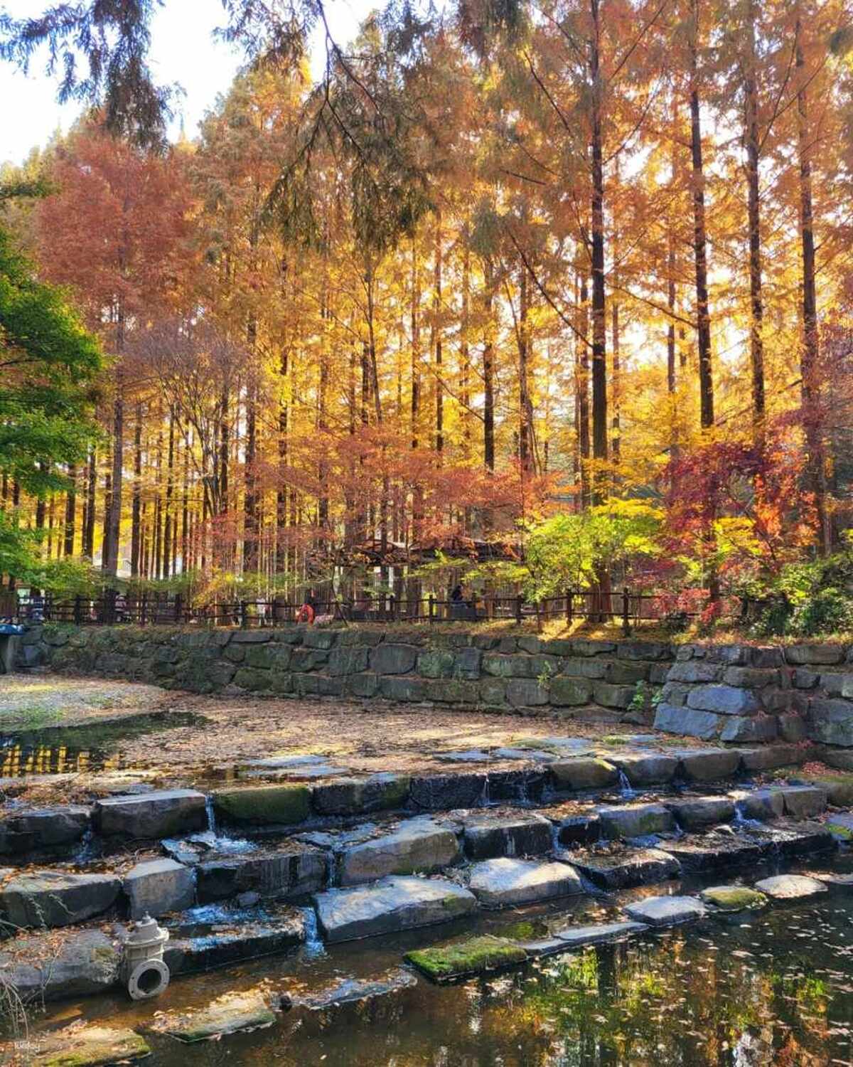 Seasonal | Jeonju Hanok Village and Jangtaesan, Daedunsan Serenity in Nature - Main Image