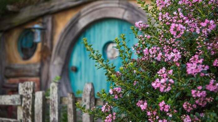 Hobbiton Movie set & Waitomo Caves Small Group Tour From Auckland Day Tours - Main Image