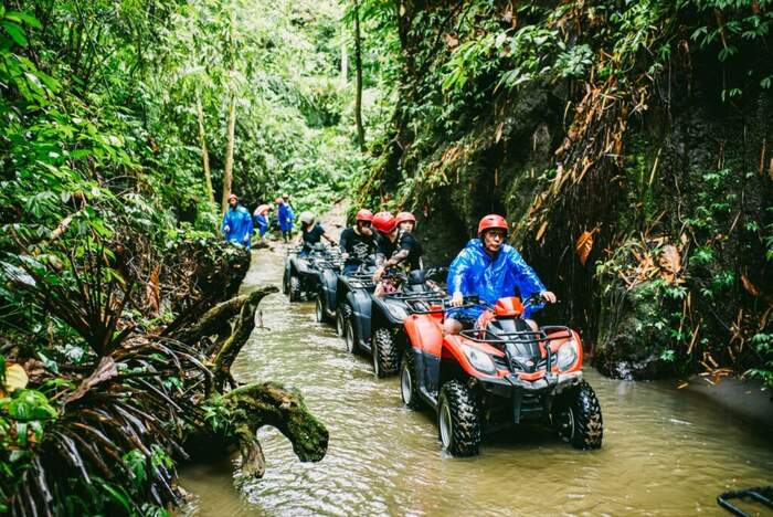 2aa488d7-53e5-4312-83a4-c30edd6f6995_alt