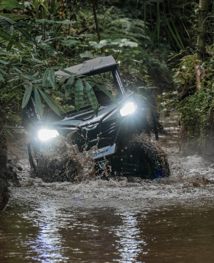 ac281860-e168-4e27-b599-c5587190660a_alt