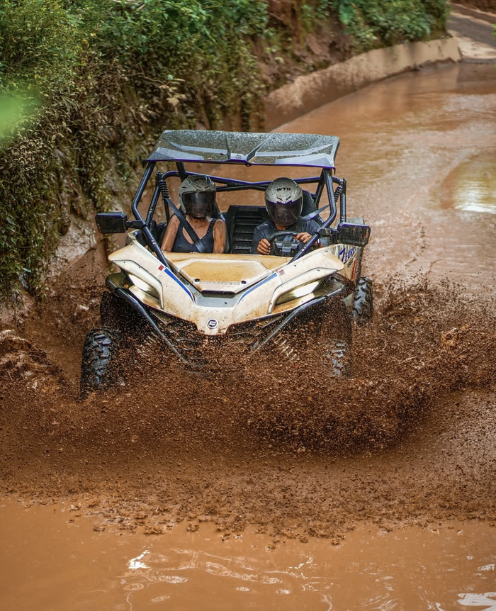 def8e965-0a0d-4003-a830-3536c0797c21_alt