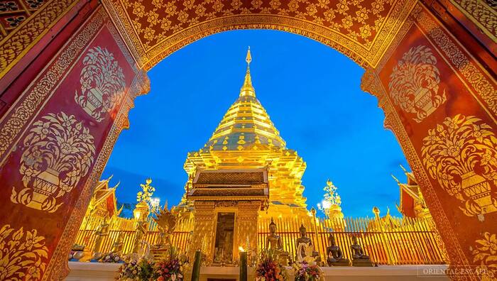 Day Tour Doi Suthep and Wat Umong Night Tour Plus, visit Wat Pa Lad - Main Image