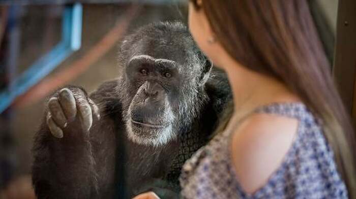 Monarto Safari Park: General Admission Tickets Day Tours - Main Image