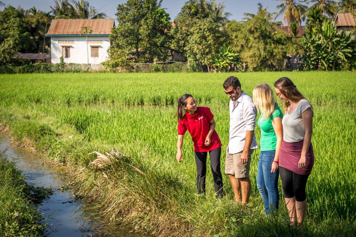 Private Bali's Hidden Rice Terraces Trek Experience - Main Image