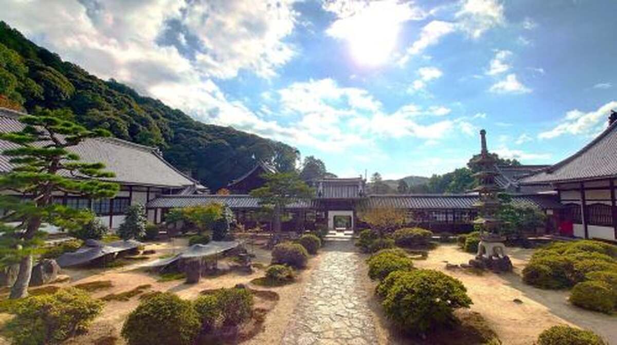 Cycling Tour at Uji's Matcha Green Tea Fields and Heritage Day Tours - Main Image