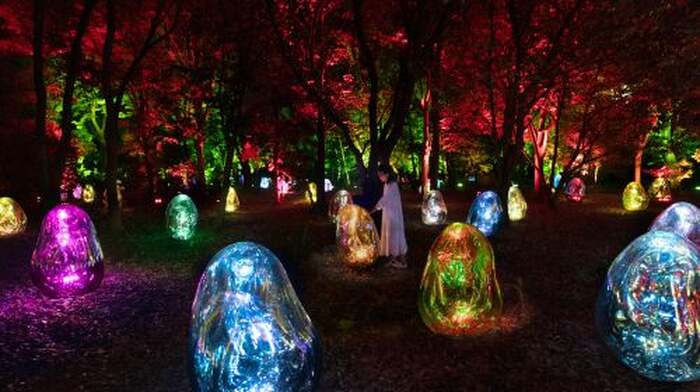 teamLab Botanical Garden Osaka - Main Image