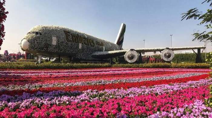 Dubai Miracle Garden Entry Ticket Day Tours - Main Image