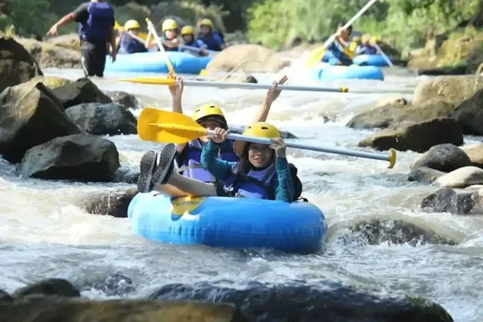 b1fd087d-d6c0-4db2-8662-0d57c29086c7_alt