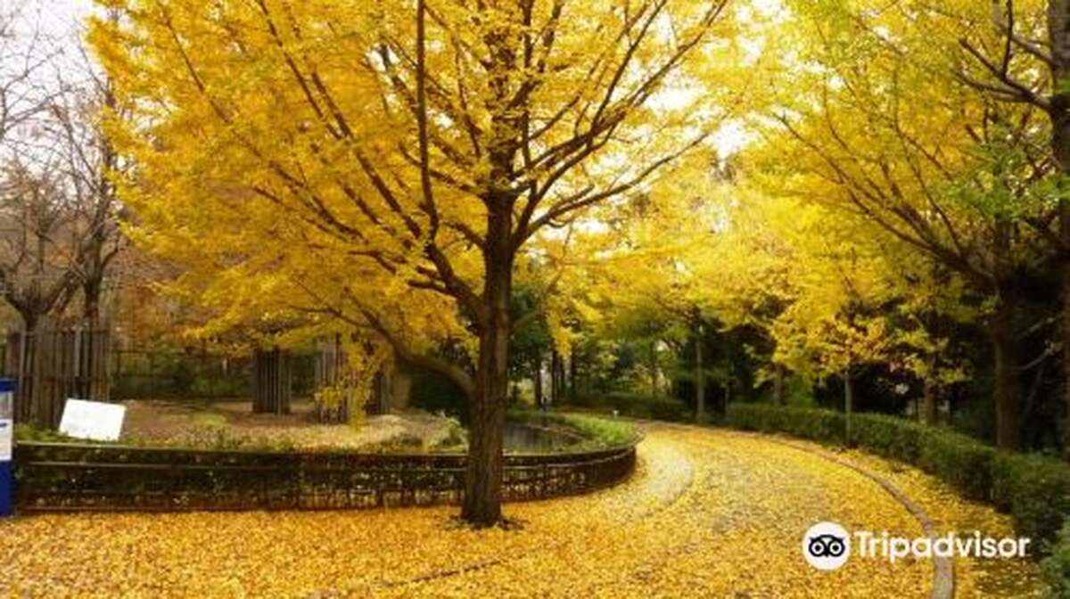 Kanazawa Zoological Gardens - Main Image