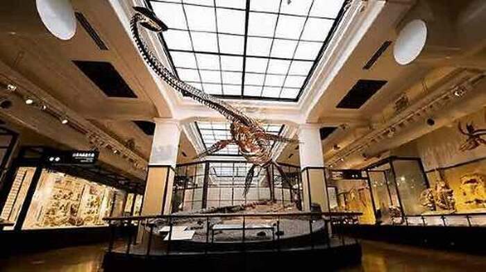 National Museum of Nature and Science - Main Image