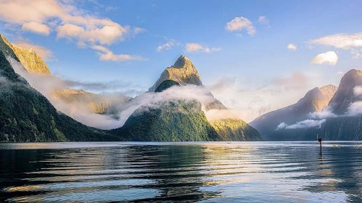 Premium Milford Sound Tour, Cruise & Lunch from Te Anau Day Tours - Main Image