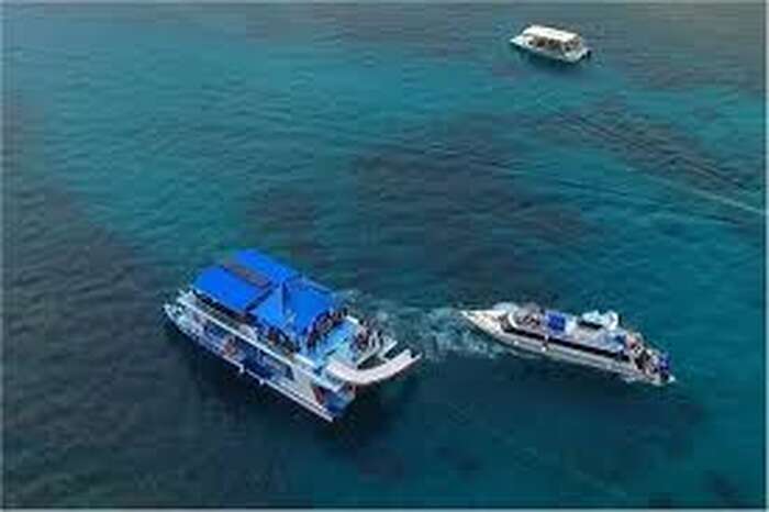 bda04a38-93ce-43af-ac60-88d237feb239_alt