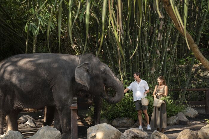 4ae063f9-8314-4afd-b3a9-fc17189a9b61_alt