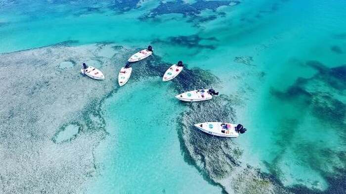 Key West Safari Eco Sandbar Tour Adventure with Snorkeling Day Tours - Main Image