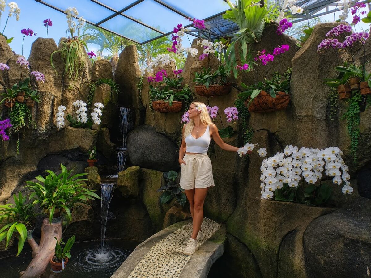 img-alt