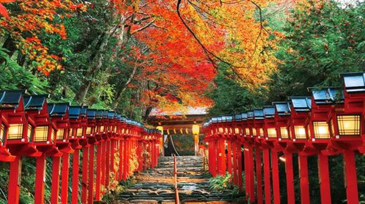 Kyoto Kifune Shrine + Arashiyama + Sanzen-in 9-person premium small group, fall foliage viewing - Main Image