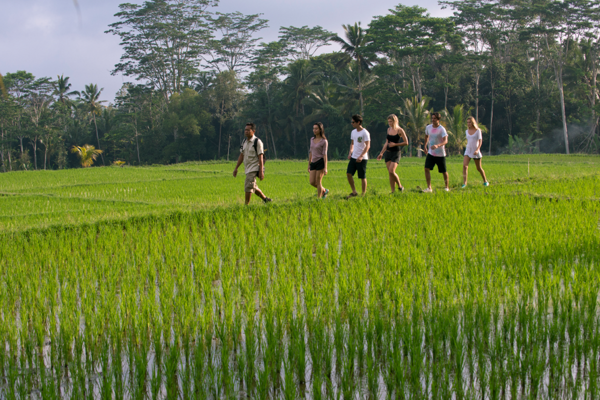 Tropical Trekking - Main Image