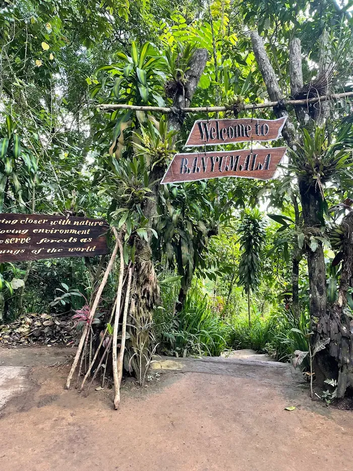 5bae5439-61ae-40fb-aef6-54e3b039817a_alt