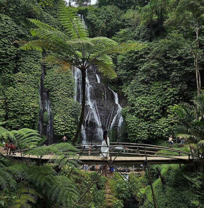 bbfa4ca6-864b-413e-b5c2-c1fa9cf5c4dd_alt