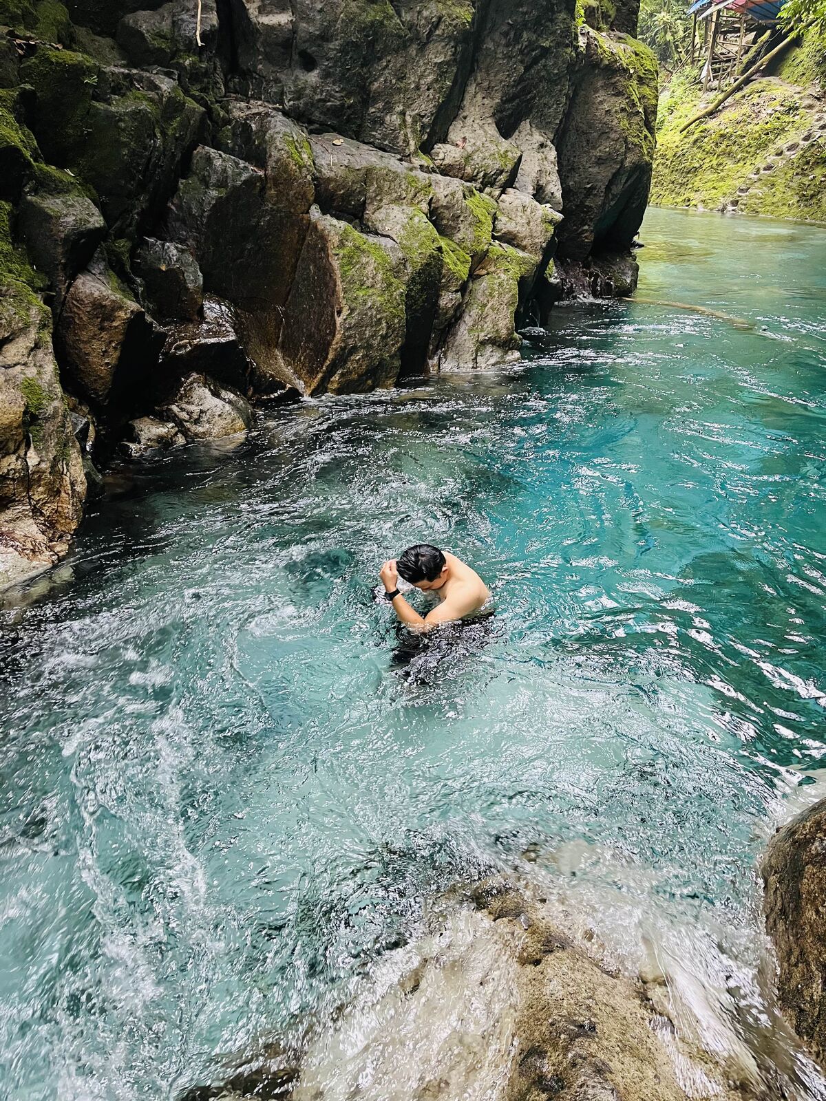 Tangkahan-Bukit Lawang 4D3N Exclusive Private Trip - Main Image