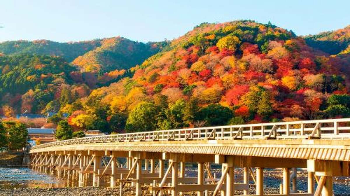 Osaka to Kyoto: Arashiyama Bamboo Grove Small Group Tour Day Tours - Main Image