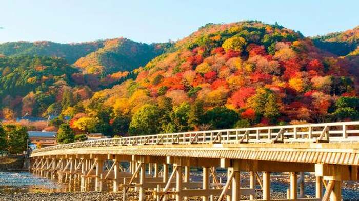 Osaka to Kyoto: Arashiyama Bamboo Grove Small Group Tour Day Tours - Main Image
