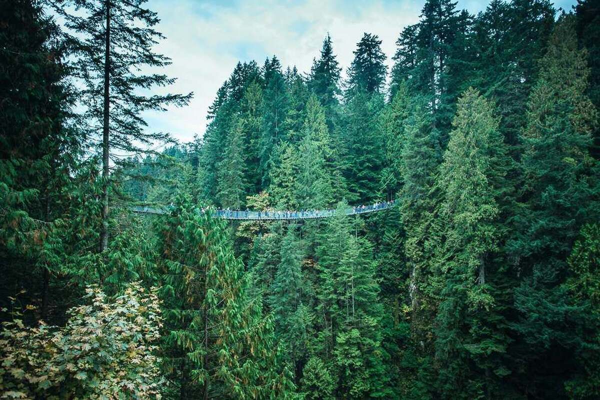 Capilano Suspension Bridge Park - Main Image