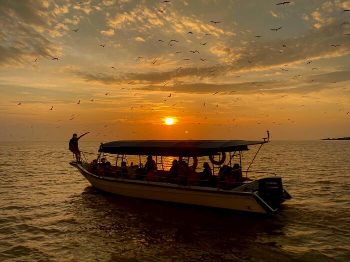Eagle Watching, Fireflies, Blue Tears Experience in Kuala Selangor - Main Image