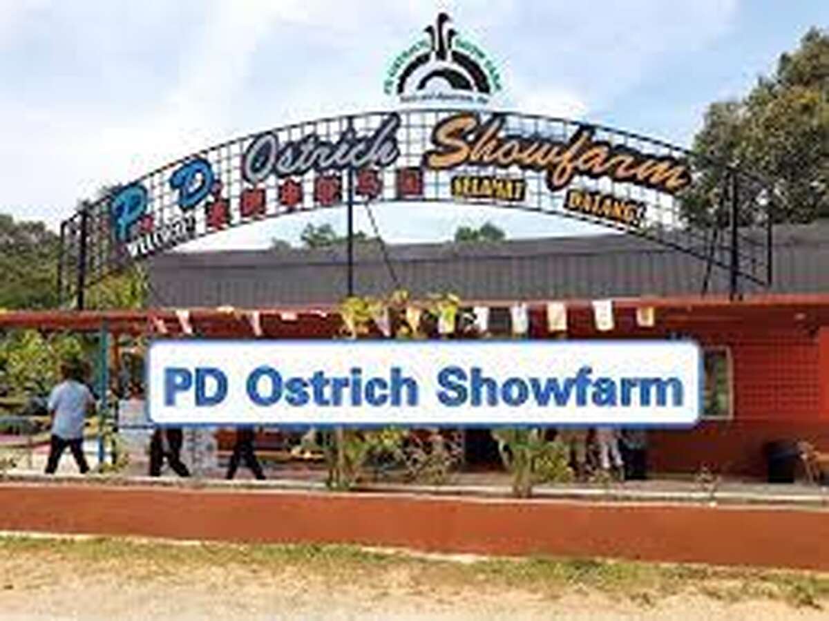 PD Ostrich Show Farm - Main Image